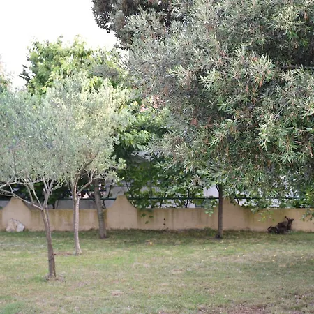 Antonija Punta Skala Next To Falkensteiner *